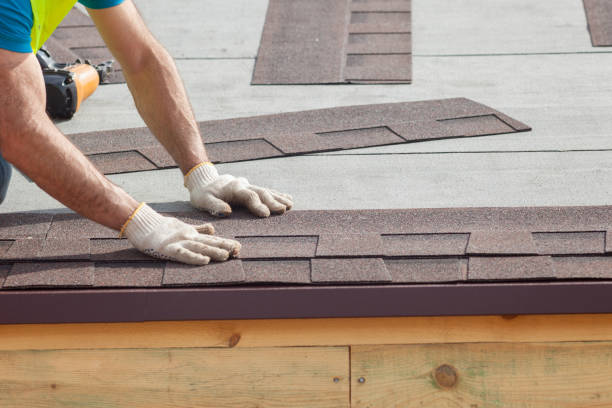 Best Siding  in Springdale, AR